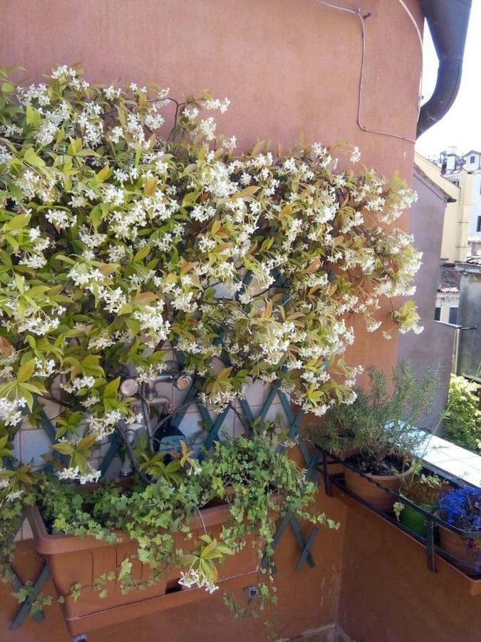 Ca' San Silvestro 2 Terrazze Nel Cuore Di Venezia Экстерьер фото